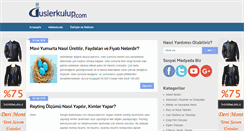 Desktop Screenshot of duslerkulup.com